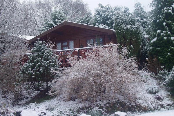 Winter scene.