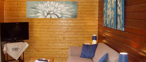 TV, DVD player, books