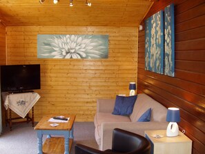 Télévision, lecteur de DVD, livres