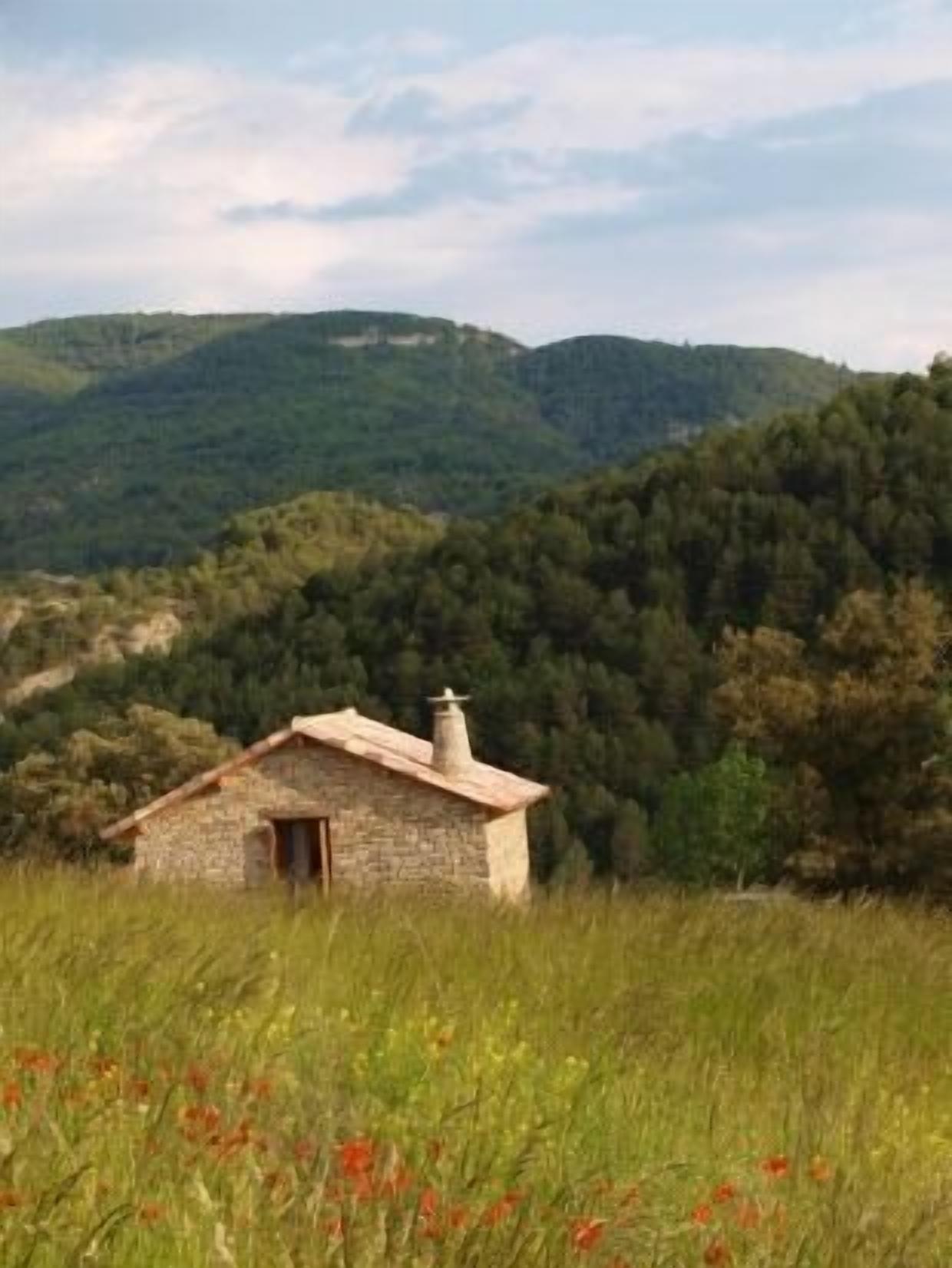 Rural house (full rental) La Borda de Formigales 