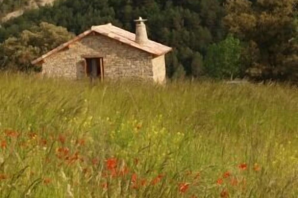 Rural house (full rental) La Borda de Formigales
