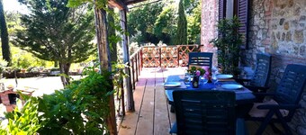 Macinella "Sunflower 3" beautiful terrace