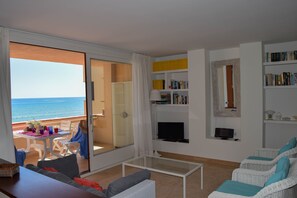 TV, DVD player, ping pong, books