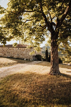 Terrein van de accommodatie