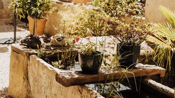 Terrein van de accommodatie