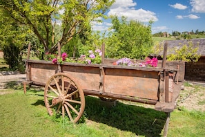 Property grounds - Apartment in Farmhouse 3 Km far from the center of Siena for 4 people (Siena)