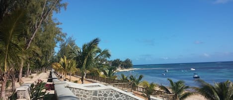 A coastal walkway with palm trees, a stone wall, and a beach with boats.