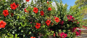 Farmhouse with pool and padel court, free WiFi