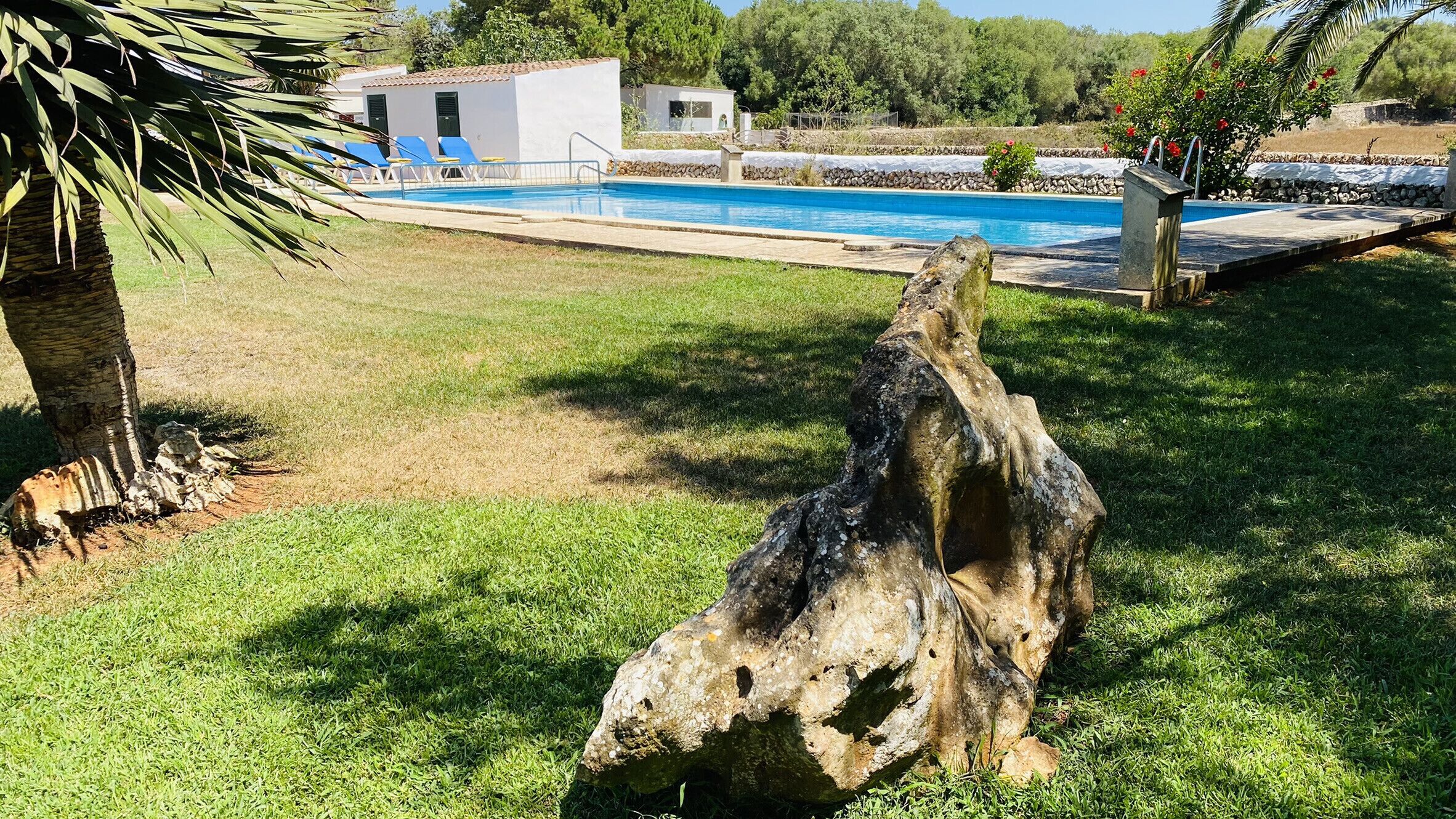 Una piscina con cubierta de piedra, una palmera y una escultura de madera rústica.
