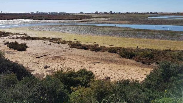 Paisaje costero con zonas arenosas, parches de hierba y edificios a lo lejos.