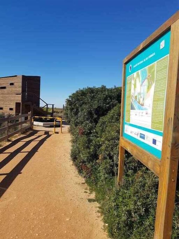 A dirt path leading to a wooden building with a signboard. - Ria Formosa Pineview (Faro)