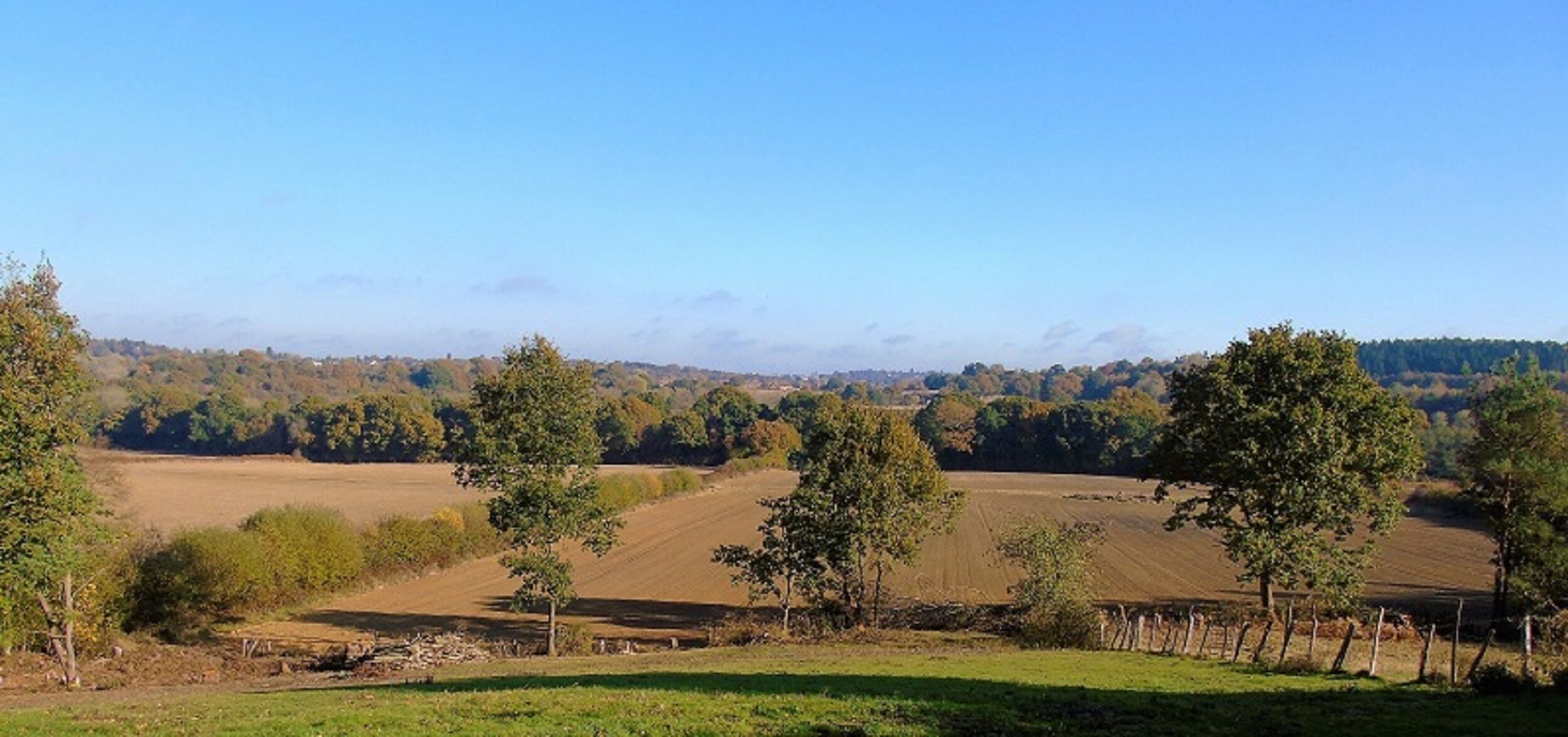 Un paysage rural avec des champs, des arbres et un ciel dégagé.
