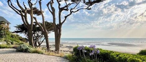 In Strandnähe, Liegestühle, Strandtücher