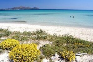 Plage à proximité, serviettes de plage