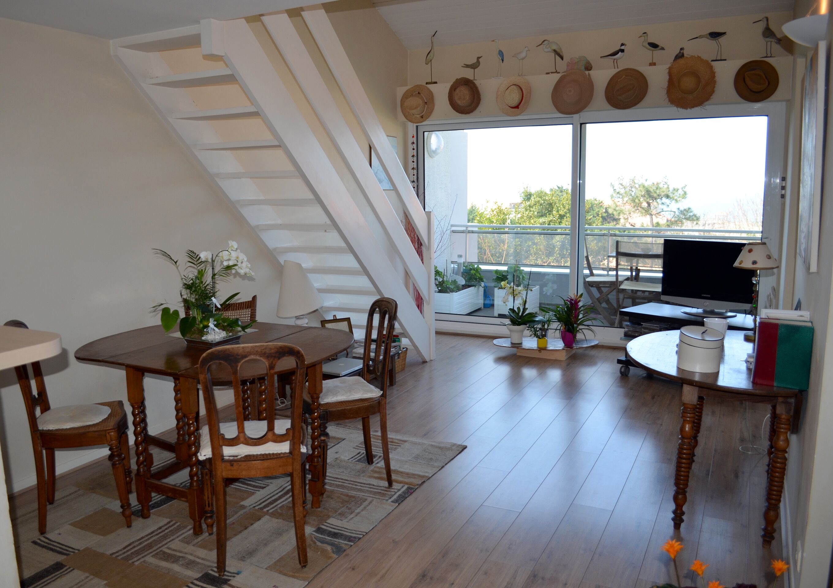 Uma sala de jantar com mesa e cadeiras de madeira, uma televisão e uma varanda com plantas em vasos.