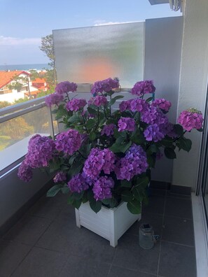 A balcony with a potted plant of purple flowers, a white planter, and a metal trash can. - Panoramic view of the ocean, beaches (Anglet)