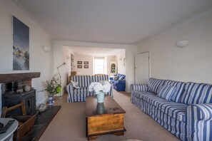 電視、DVD 播放機、書籍、音樂庫