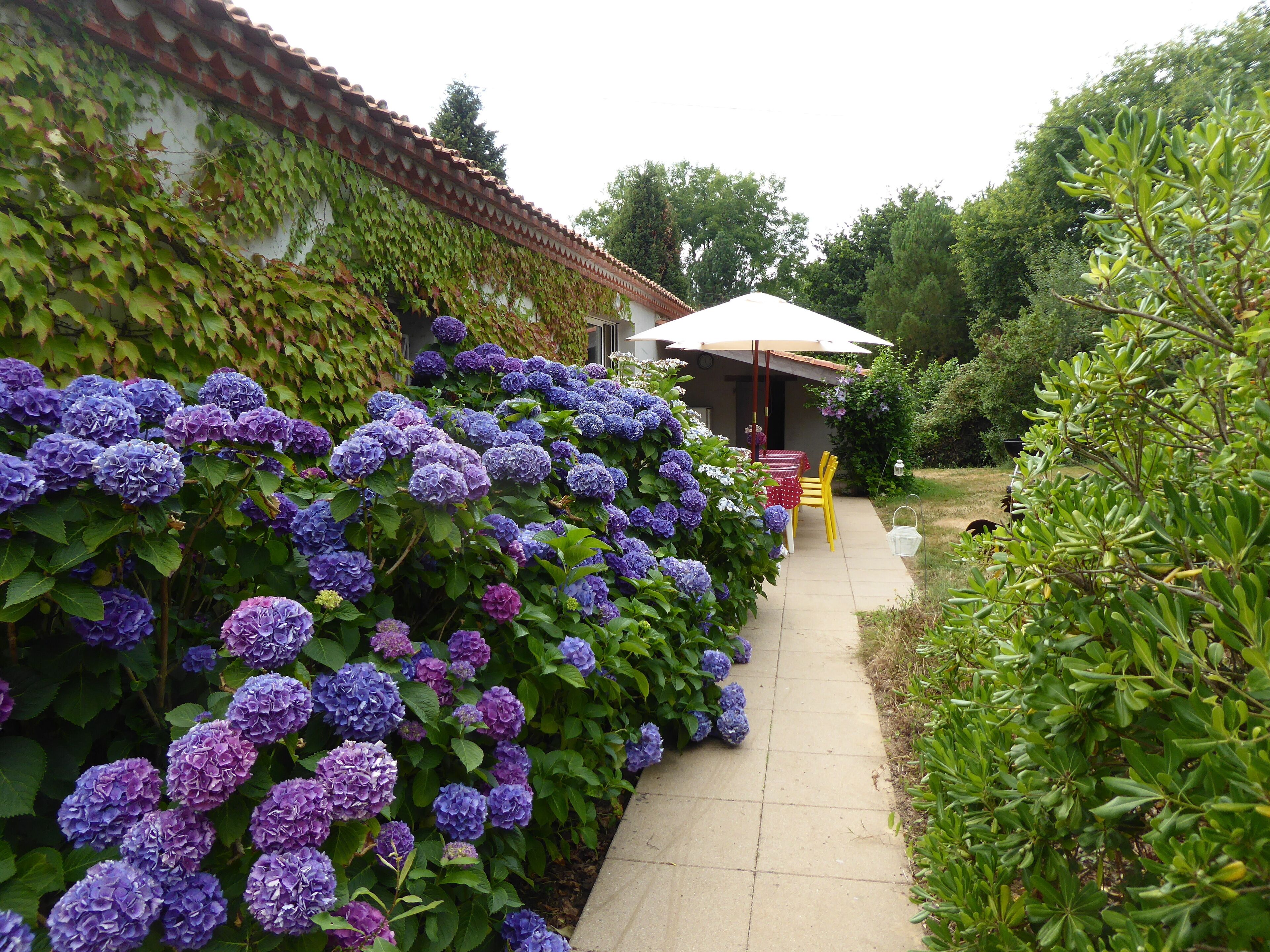 Back of the House