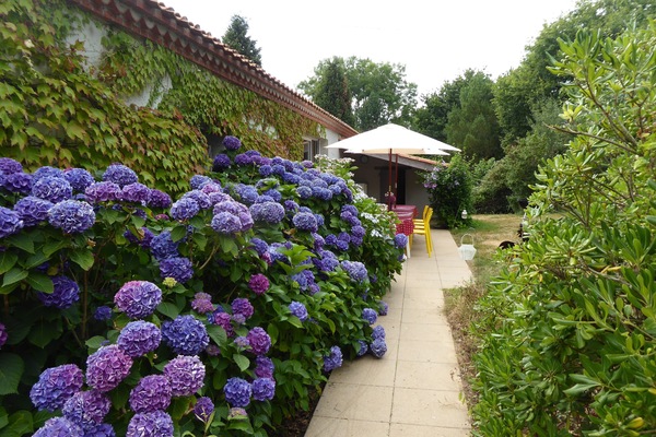 Back of the House