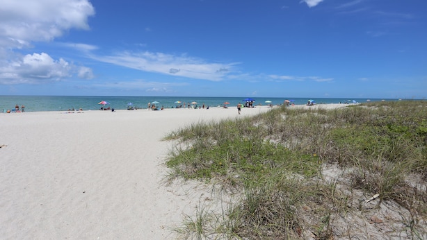 Ein Strand mit Menschen, Sonnenschirmen und Dünen.