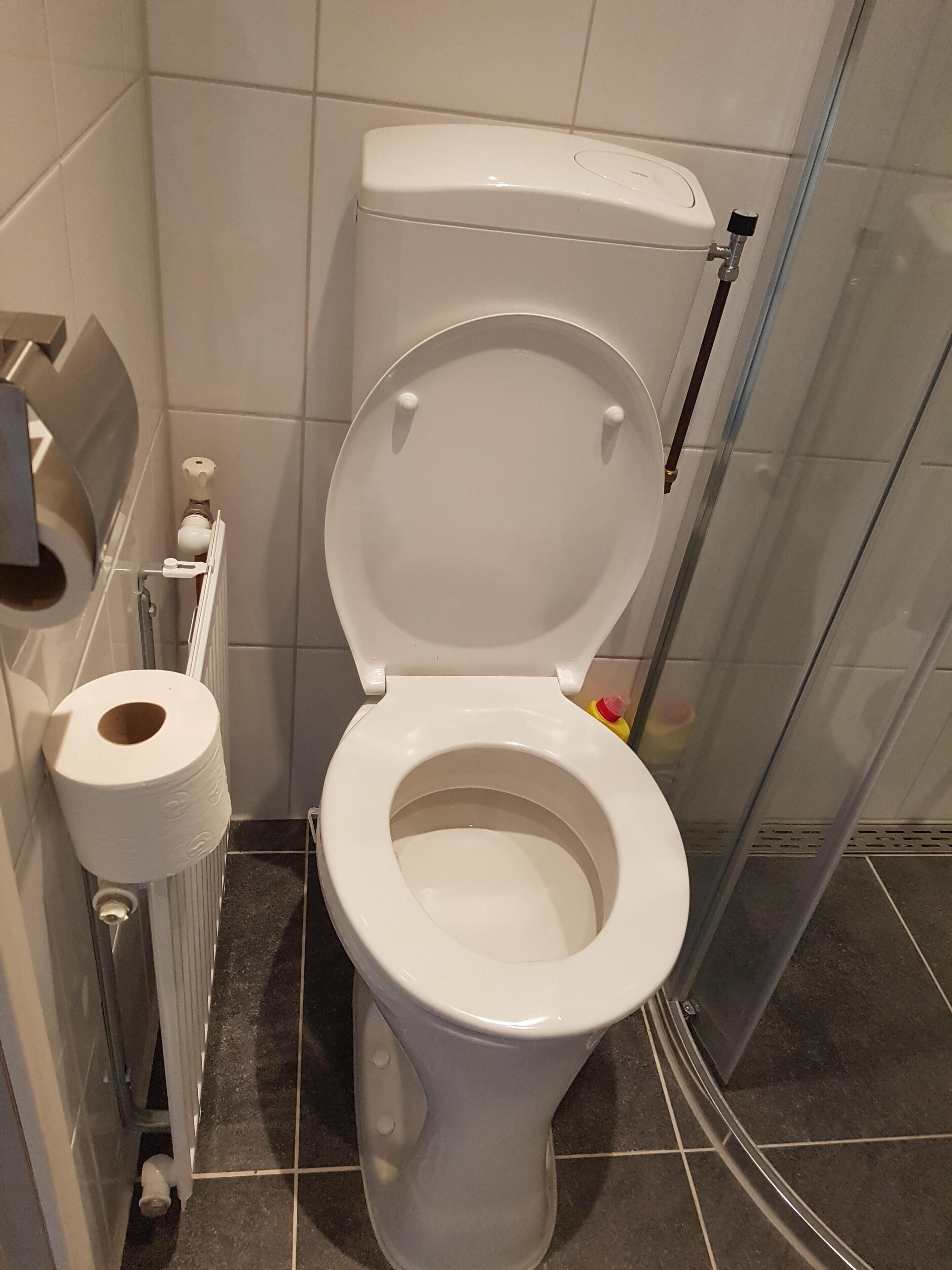 Eine weiße Toilette mit geschlossenem Deckel, ein Toilettenpapierhalter auf der linken Seite und ein Duschbereich zur Rechten.