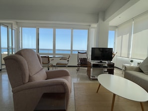 Smart TV, DVD player, books