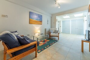 Smart TV, fireplace, DVD player, books