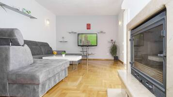 TV, fireplace, DVD player