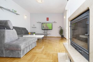 Televisión, chimenea y reproductor de DVD