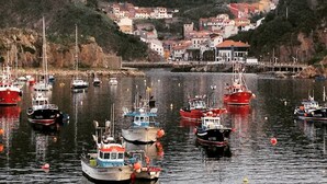 A harbor with boats docked, surrounded by a hillside with buildings. - La casa del Campo, cozy cottage next to the beaches of Cudillero (Cudillero)