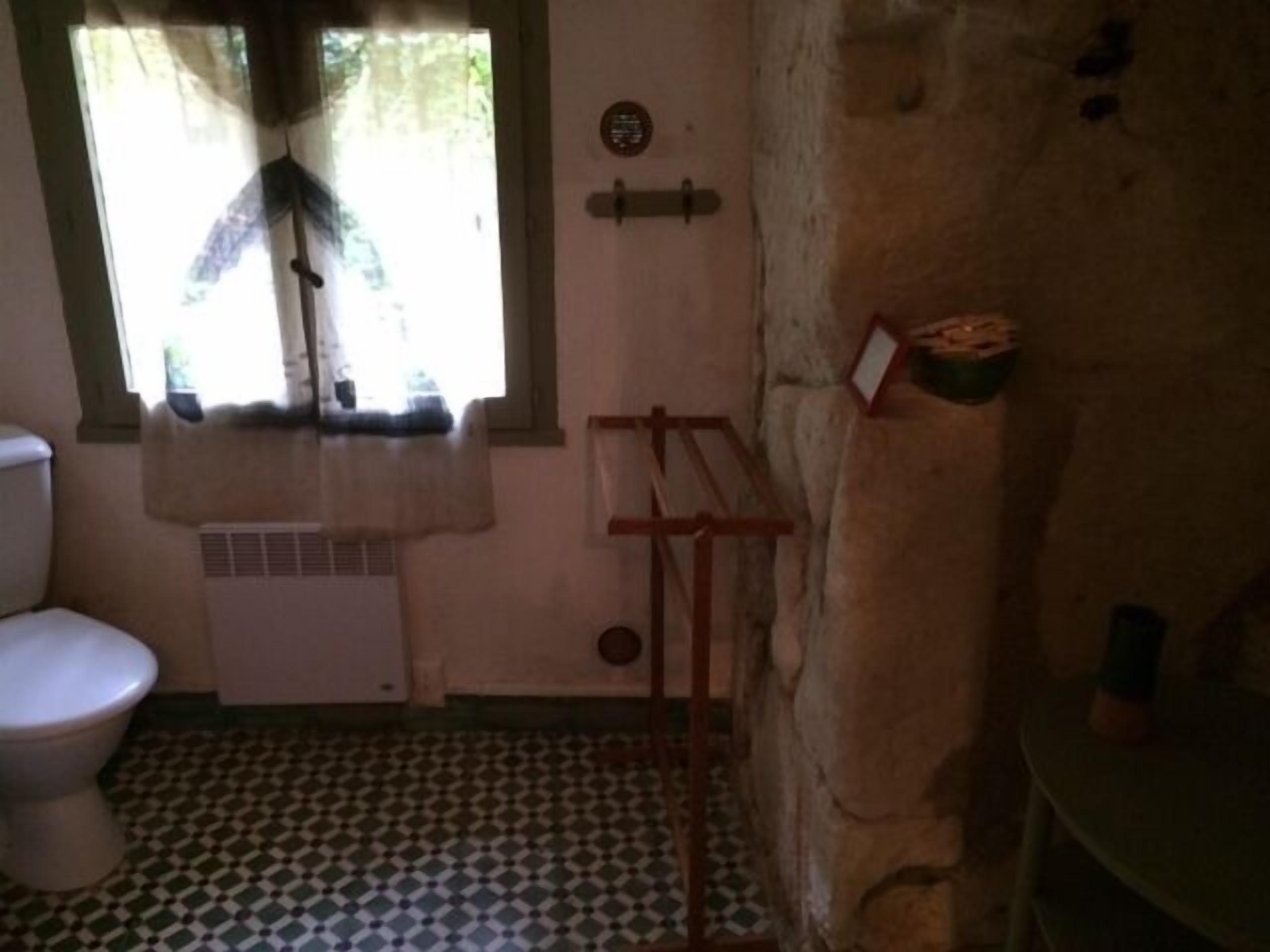 Original troglodytic house on the banks of the Loire: Les Troglos Verts