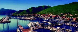 Marina
