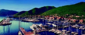 Marina