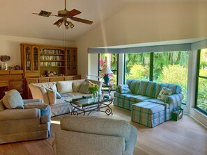 TV, DVD player, books, video library