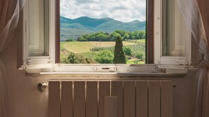 Una ventana con cortinas, vista a un paisaje verde y cielo despejado.