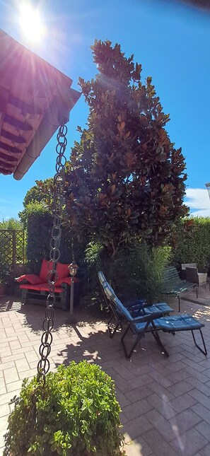 Terras