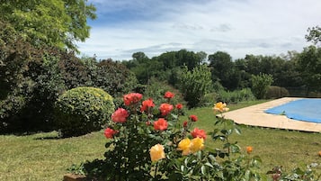 Área da propriedade