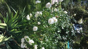 Terrain de l’hébergement