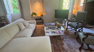 Télévision, cheminée, lecteur de DVD, livres