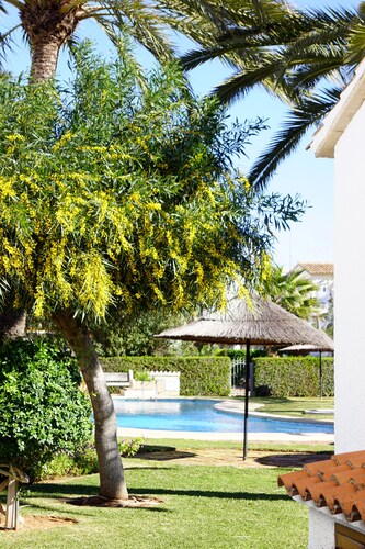 Nice bungalow by the sea. Tourist Accommodation VT-450644-A