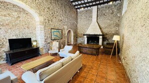 TV, fireplace, DVD player