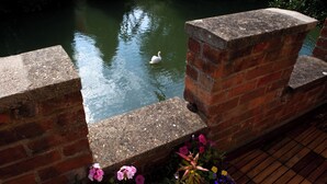A brick wall with a swan swimming in a pond. - Luxury Studio with balcony over the River Thames in historic centre of Oxford (Oxford)