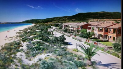 House on the sea between dunes and unspoiled nature 50 meters from the sea with swimming pool