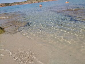 Playa en los alrededores 