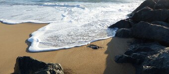 HOUSE WITH HEATED POOL 5 M FROM THE OCEAN, THE VILLAGE AND THE MARINE LAKE 