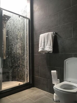 Ensemble douche/baignoire, sĂšche-cheveux, serviettes fournies, savon
