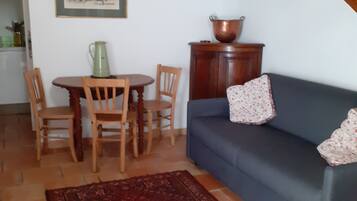 Televisie, een open haard, een dvd-speler en boeken