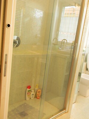 Douche, séchoir à cheveux, bidet, serviettes fournies