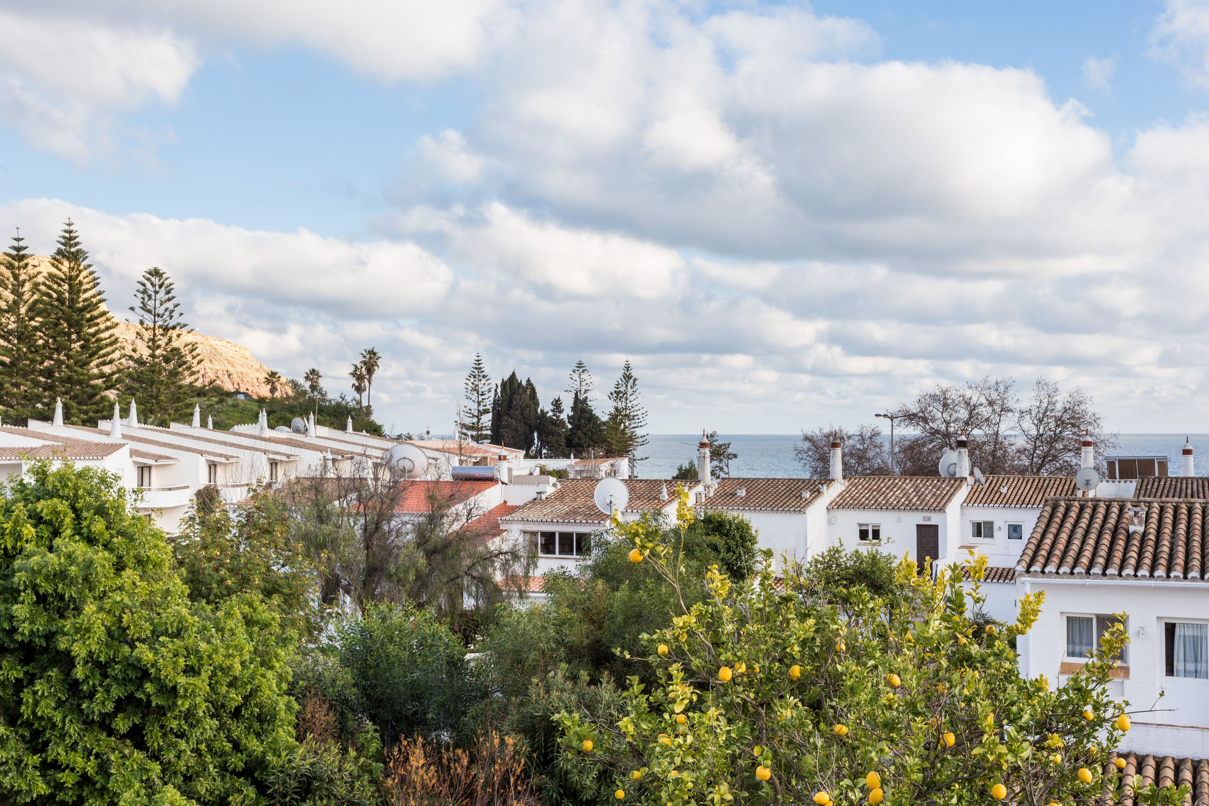 Vista desde la propiedad