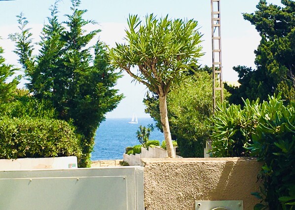 A coastal view with a sailboat in the distance, surrounded by lush greenery and a ladder leaning against a wall.